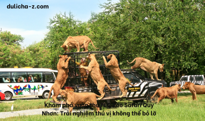 Khám phá vườn thú FLC Zoo Safari Quy Nhơn: Trải nghiệm thú vị không thể bỏ lỡ